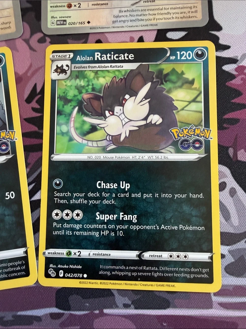 Rattata & Raticate Evolution Lot | Pokémon 151 + Pokémon GO | ✨5/$25✨